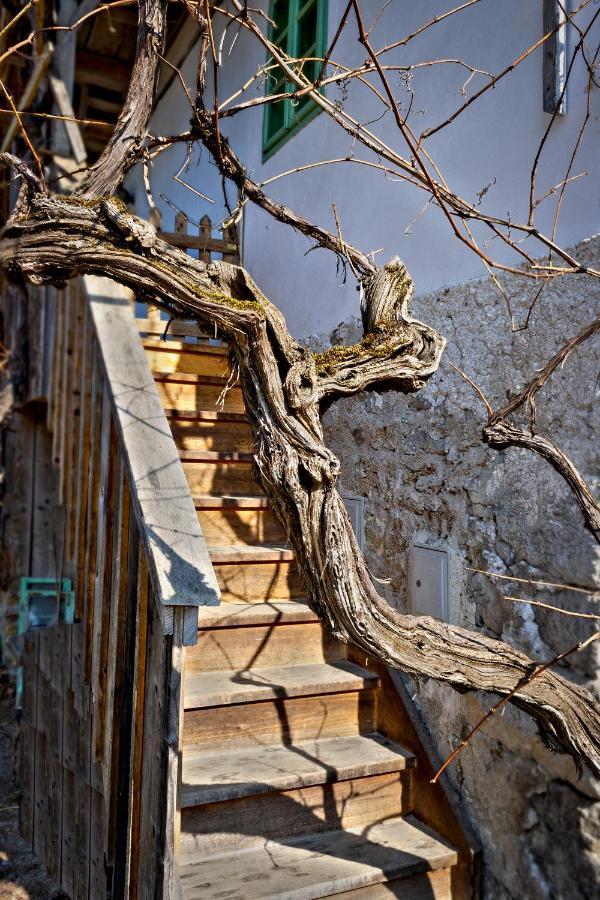Гостевой дом Vintage House Podliparska Fara Экстерьер фото