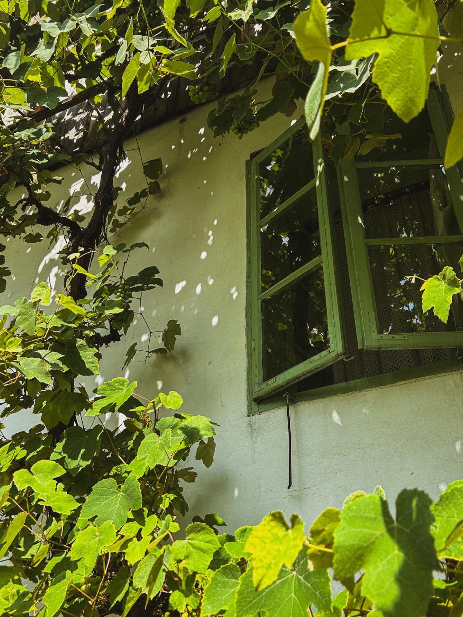Гостевой дом Vintage House Podliparska Fara Экстерьер фото